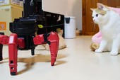 Độc đáo robot "trêu mèo" cho game thủ
