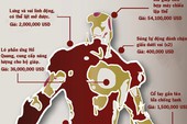 [Infographic] Mất bao tiền để sở hữu bộ giáp của Iron Man