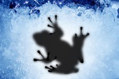 DOTA 2 Hư cấu: IceFrog – Tướng sắp ra mắt của cộng đồng mạng DOTA 2