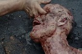 10 cách con người có thể sử dụng đám zombie trong "The Walking Dead"