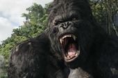 Đoàn làm phim Kong: Skull Island gửi tâm thư cảnh tỉnh giới truyền thông