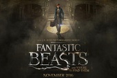 Phim về thế giới phù thủy Harry Potter - Fantastic Beast and Where to Find Them tiết lộ trailer mới