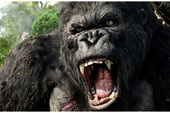 Phim King Kong quay tại Việt Nam sẽ có chú khỉ to lớn nhất từ trước đến nay