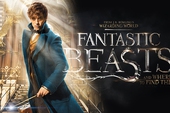 Fantastic Beast and Where to Find Them tiết lộ nhân vật được tác giả Harry Potter thích thú nhất
