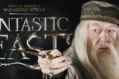 Giới tính thật của Dumbledore sẽ được tiết lộ trong phim Fantastic Beasts and Where to Find Them