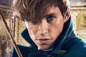 Fantastic Beasts có mối liên hệ như thế nào với Harry Potter?