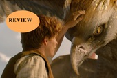 Đánh giá phim Fantastic Beasts - Hài hước, li kì, hấp dẫn chẳng kém gì Harry Potter