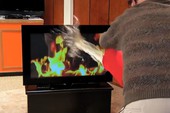 "Đau ruột" trước cảnh cụ già dội nước vào TV để dập lửa