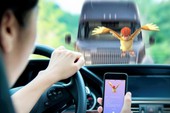 Xử lý nghiêm người vừa lái xe vừa chơi Pokemon Go