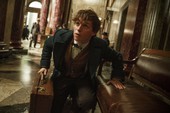 Hé lộ clip hậu trường của Fantastic Beast And Where To Find Them
