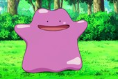 Pokemon GO -  Khả năng "sao chép" của Ditto liệu có mạnh trong việc chiếm Gym?