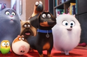 Sự thật ít người dám nói về phim hoạt hình 3D "The Secret Life of Pets"