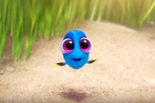 8 chi tiết mà bạn chưa chắc đã biết về phim hoạt hình "Finding Dory"