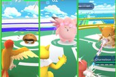 30 kỹ năng chiến đấu mạnh nhất trong Pokemon GO và Pokemon sở hữu