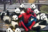 Hài hước với loạt Poster phim Spider-man: Homecoming tại Trung Quốc