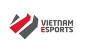 Tin đồn Vietnam Esports ngừng hoạt động: Đại diện cty khẳng định là tin vịt và không quan tâm