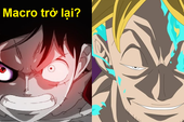 One Piece: "Phượng hoàng bất tử" Marco sẽ trở lại cùng Luffy đánh bại Tứ Hoàng Kaido?
