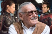 Fan Stan Lee đừng quá đau buồn bởi ít nhất "Bố già" vẫn xuất hiện ở Avengers 4!