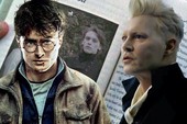 4 điểm vô lý trong Fantastic Beasts: The Crimes of Grindelwald mà chỉ có fan ruột của Harry Potter mới nhận ra