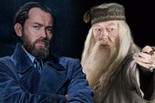 5 giả thuyết gây tranh cãi về những bí mật đen tối của gia đình Dumbledore trong Fantastic Beasts 2