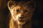6 câu hỏi mà fan không thể không thắc mắc ở "The Lion King" bản remake