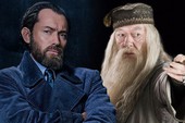 Thầy Dumbledore và 7 phù thủy quyền năng mới sẽ xuất hiện trong Fantastic Beasts 2