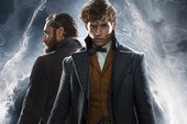 Fantastic Beast 2: Mối quan hệ của Dumbledore và Newt Scamander sẽ khác với Harry Potter như thế nào?