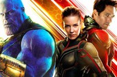 Sau Avengers: Infinity War, fan mong đợi gì từ ‘Người Kiến Và Chiến Binh Ong’?