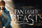 Tin vui cho các fan Harry Potter: Bộ phim Fantastic Beasts sẽ có phần 3