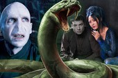 Fantastic Beasts 2: "Trường sinh linh giá" của chúa tể Voldemort hóa ra là một mỹ nữ cực quyến rũ