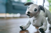 Từ chàng quản gia thông minh cho tới "kẻ hủy diệt" Sophia: Đây là 7 Robot ấn tượng nhất triển lãm CES 2018