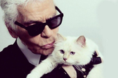 Mèo cưng của Karl Lagerfeld sẽ kế thừa khối tài sản 4.600 tỷ đồng, trở thành "mèo tỷ phú" của thế giới?