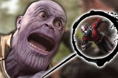 Đằng sau giả thuyết cực mệt trên Reddit: Ant-Man thu nhỏ rồi hóa khổng lồ xé tan bàn tọa của Thanos