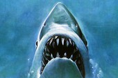 Bị cá mập xơi tái khi đang quay phim dưới nước, iPhone XS vẫn sống sót thần kỳ