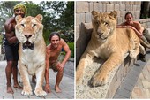 Youtuber khoe sư tử lai hổ siêu to khổng lồ, còn tranh thủ đi dạo với nó  và cái kết đắng lòng