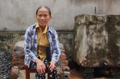 Bà Tân Vlog: Bác Google đã trả tiền cho bà nông dân này đâu