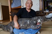 Ông bác Nhật Bản nuôi cá sấu làm 'bạn thân' của mình hơn 34 năm