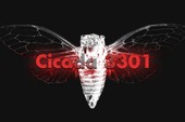 Cicada 3301: Câu đố đầy bí ẩn của Internet hiện đại