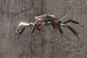 Cùng tìm hiểu về Spider-Tracers: Những “chú nhện con” đáng yêu của Spider Man
