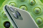 Hội chứng "sợ lỗ" nghiêm trọng tới mức nào mà camera mới của iPhone 11 khiến nhiều người giật mình đến thế