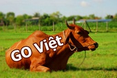 Game online Việt chẳng khác gì... con bò chuyên nhai lại