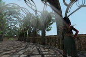 Wander - Game online cực đẹp cho game thủ không thích đánh nhau