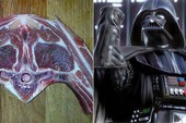 Đến thịt lợn cũng có hình Darth Vader