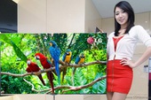 LG giới thiệu chiếc TV màn hình OLED 55 inch lớn nhất thế giới chỉ dày 4 mm