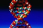 Giải mã DNA giá rẻ