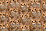 Một tựa game "free 100%" trên Steam nhận điểm số 9/10, người chơi rating "đỉnh của chóp"