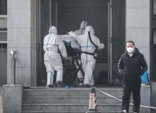 Các nhà khoa học Hong Kong tuyên bố đã chế được vắc xin cho virus corona Vũ Hán