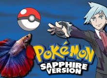 4 chú cá cảnh phá đảo Pokémon sau gần 3.200 giờ chơi, phát hiện cả bug game mà chưa ai tìm ra trong suốt 18 năm qua