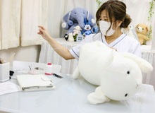 Độc lạ phòng khám chữa bệnh cho... thú nhồi bông ở Nhật, "viện phí" có thể lên đến 111 triệu