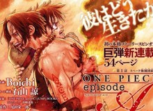 One Piece: 5 nhân vật đã từng hy sinh vì Luffy, cái chết của Ace khiến nhiều người tiếc nuối